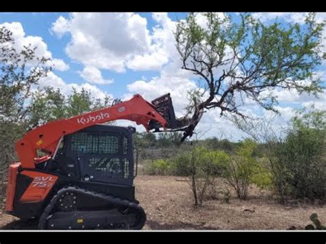 clearing mesquite with a kubota skid steer|mesquite grubbing bucket.